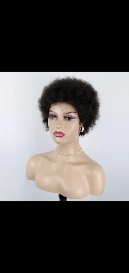Peruvain Afro wig glueless